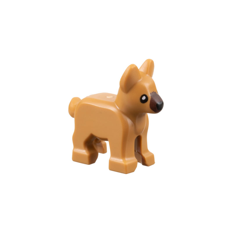 German Shepard Puppy