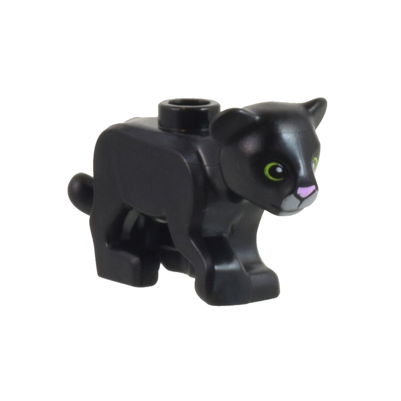 Panther Cub Panther Cub