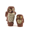 Brown Owl and Baby