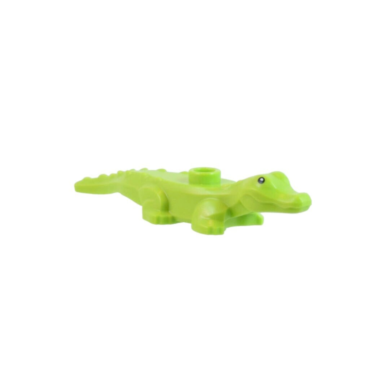 Bright Green Baby Crocodile Bright Green Baby Crocodile