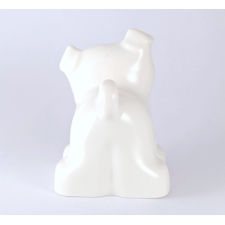 Duplo White Bulldog Puppy