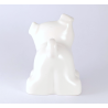 Duplo White Bulldog Puppy
