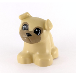 Duplo Tan Bulldog Puppy