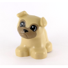 Duplo Tan Bulldog Puppy