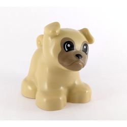 Duplo Tan Bulldog Puppy