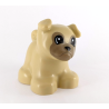 Duplo Tan Bulldog Puppy