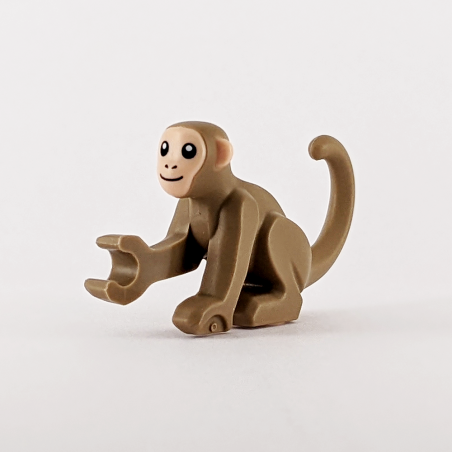 Monkey