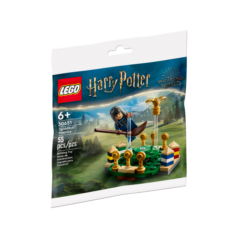 Harry Potter Quidditch Practice Polybag