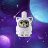 Space Cat