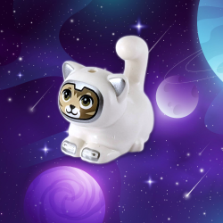 Space Cat