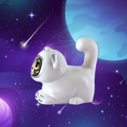 Space Cat