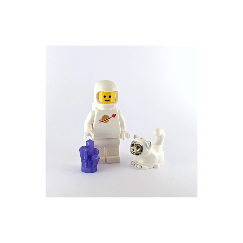 White Astronaut Jenny and Space Cat