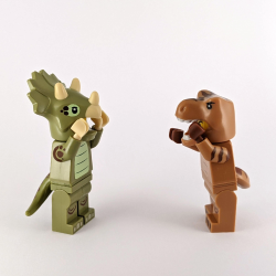 Triceratops and T-Rex Set