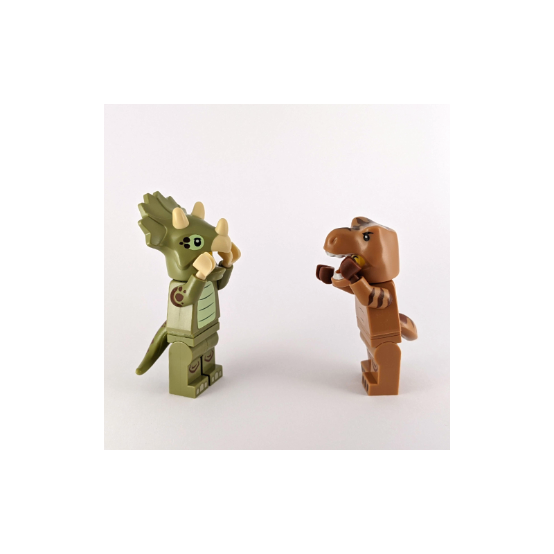 Triceratops and T-Rex Set