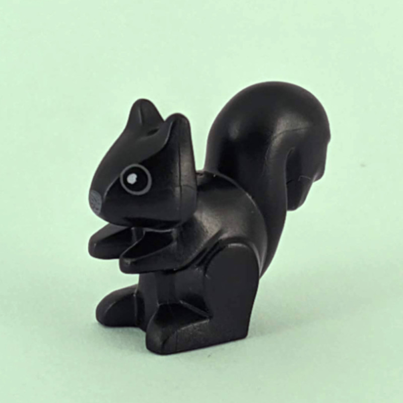 Black Squirrel