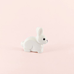 White Bunny Rabbit