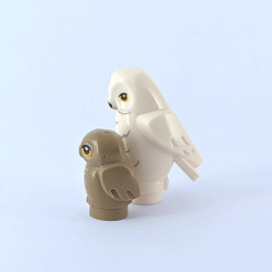 White Owl and Baby