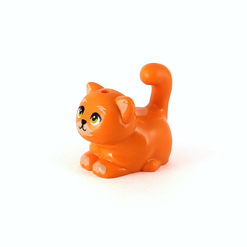 Chonky Orange Cat