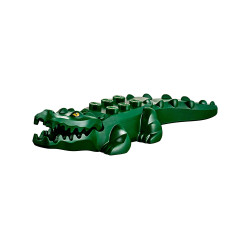 Dark Green Crocodile