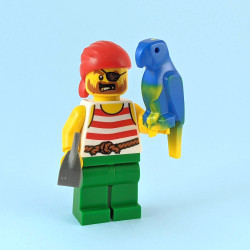 Pirate with Parrot