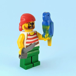 Pirate with Parrot