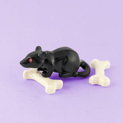 Black Rat