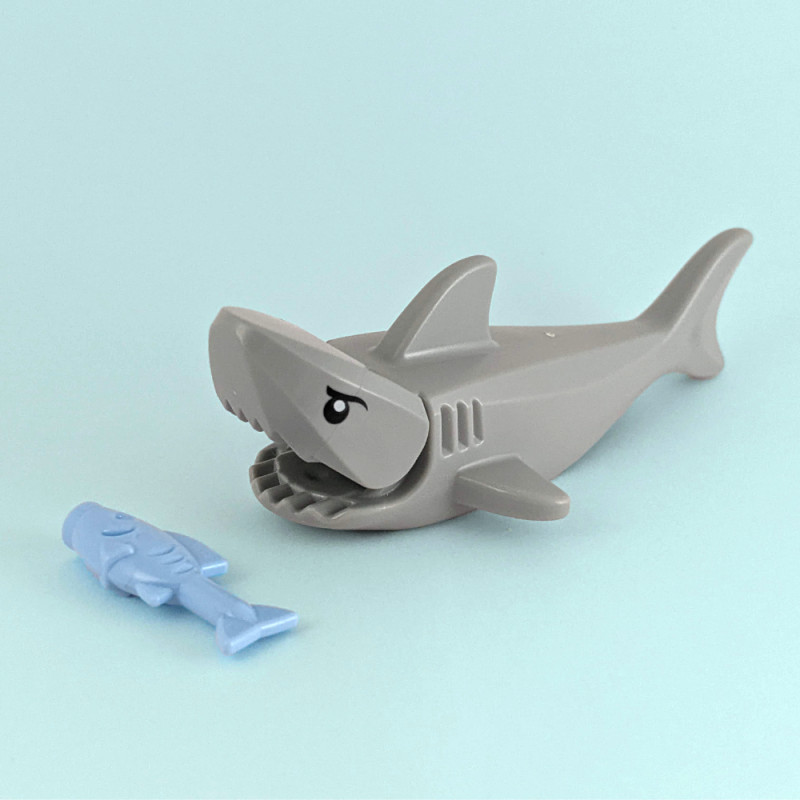 Shark and Fish Set