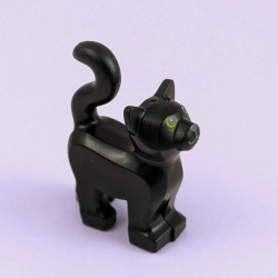 Thackery Binx Cat