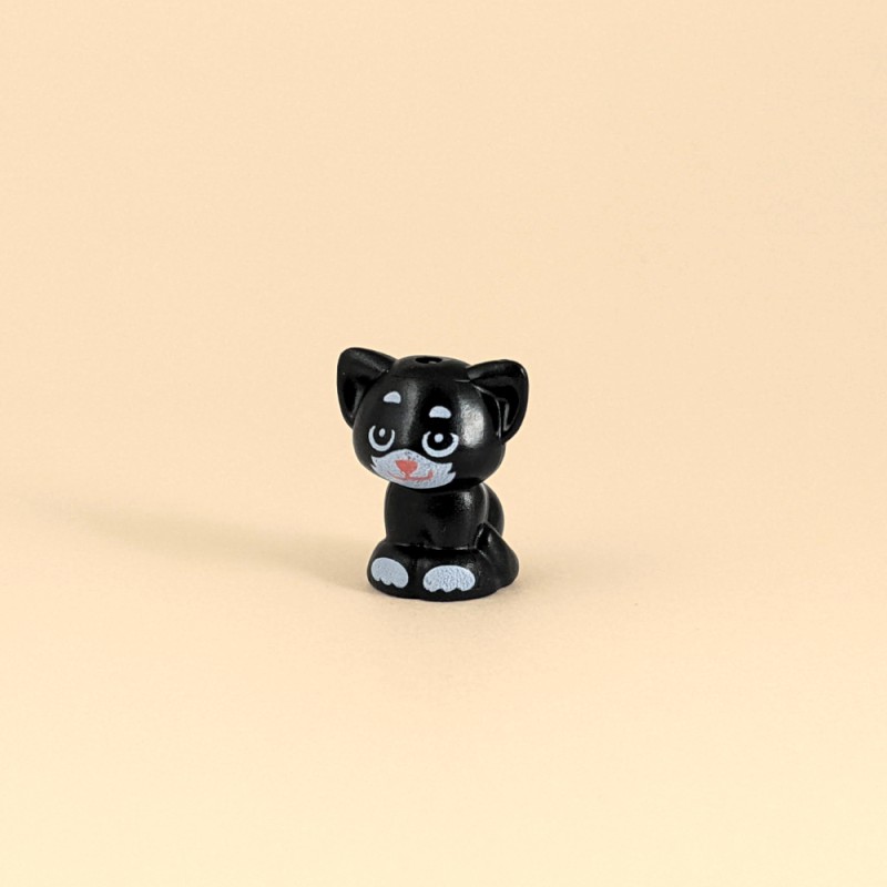 Tuxedo Cat with Pink Nose Tuxedo Cat with Pink Nose