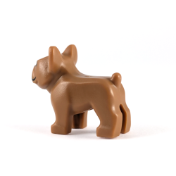 Brown French Bulldog