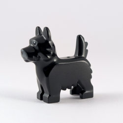 Black Terrier