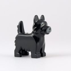 Black Terrier