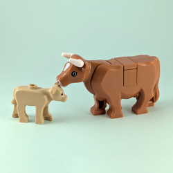 Cow and Calf