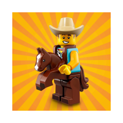 Cowboy Costume Guy