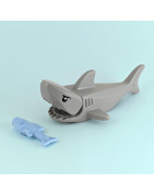 Aquatic Animals